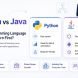 Comparison of Python and Java programming languages for beginners, showing career paths, learning curves, and software development opportunities